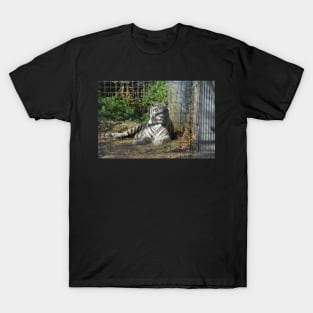 White Tiger T-Shirt